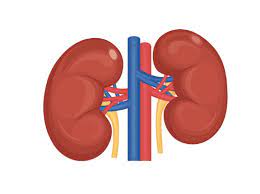 Kidney Disease